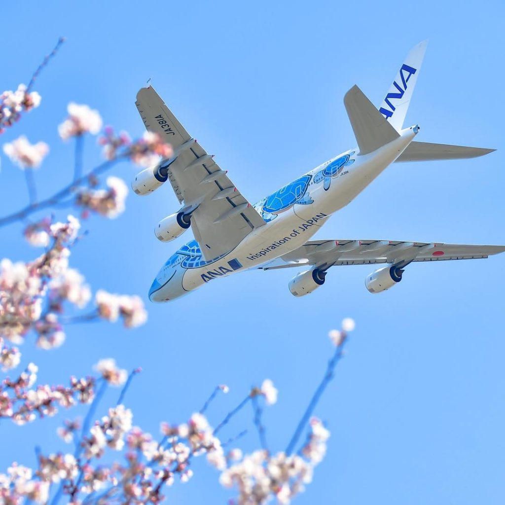 jalan jalan ke Jepang: Japan Airplane 