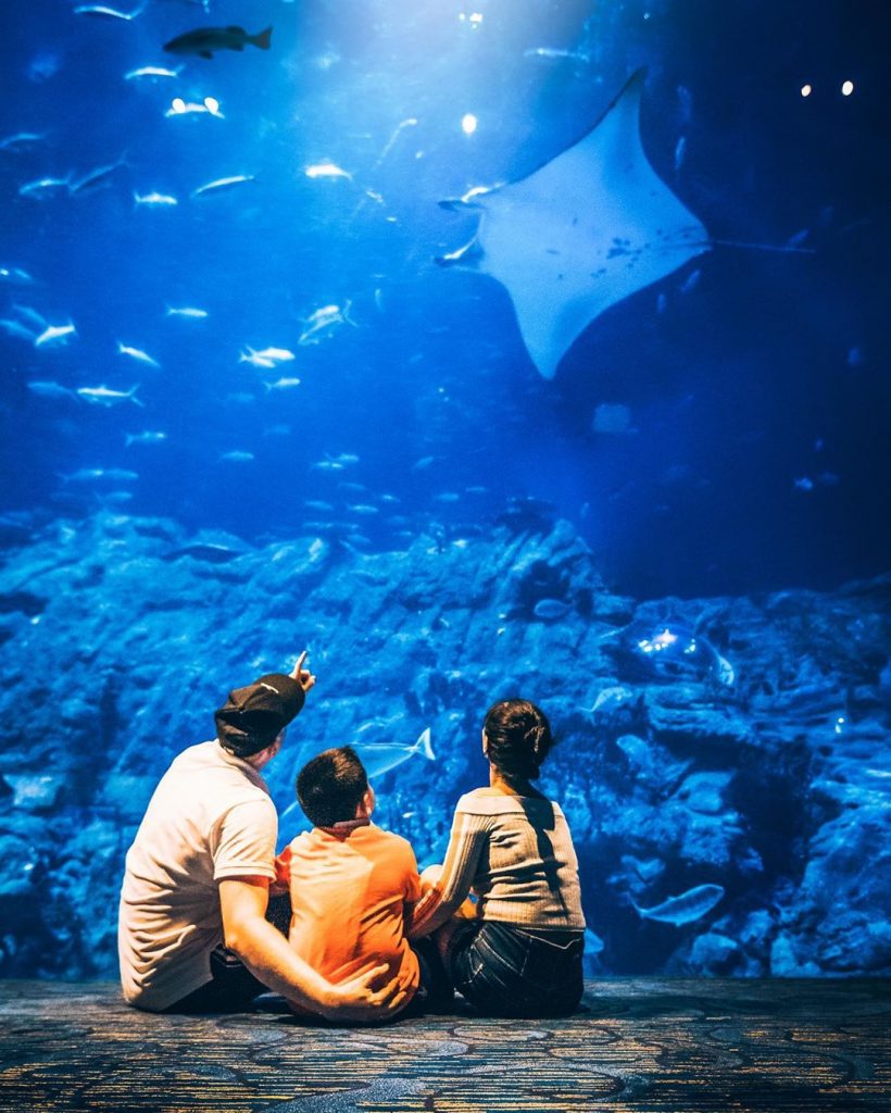 hong kong visa : Ocean park