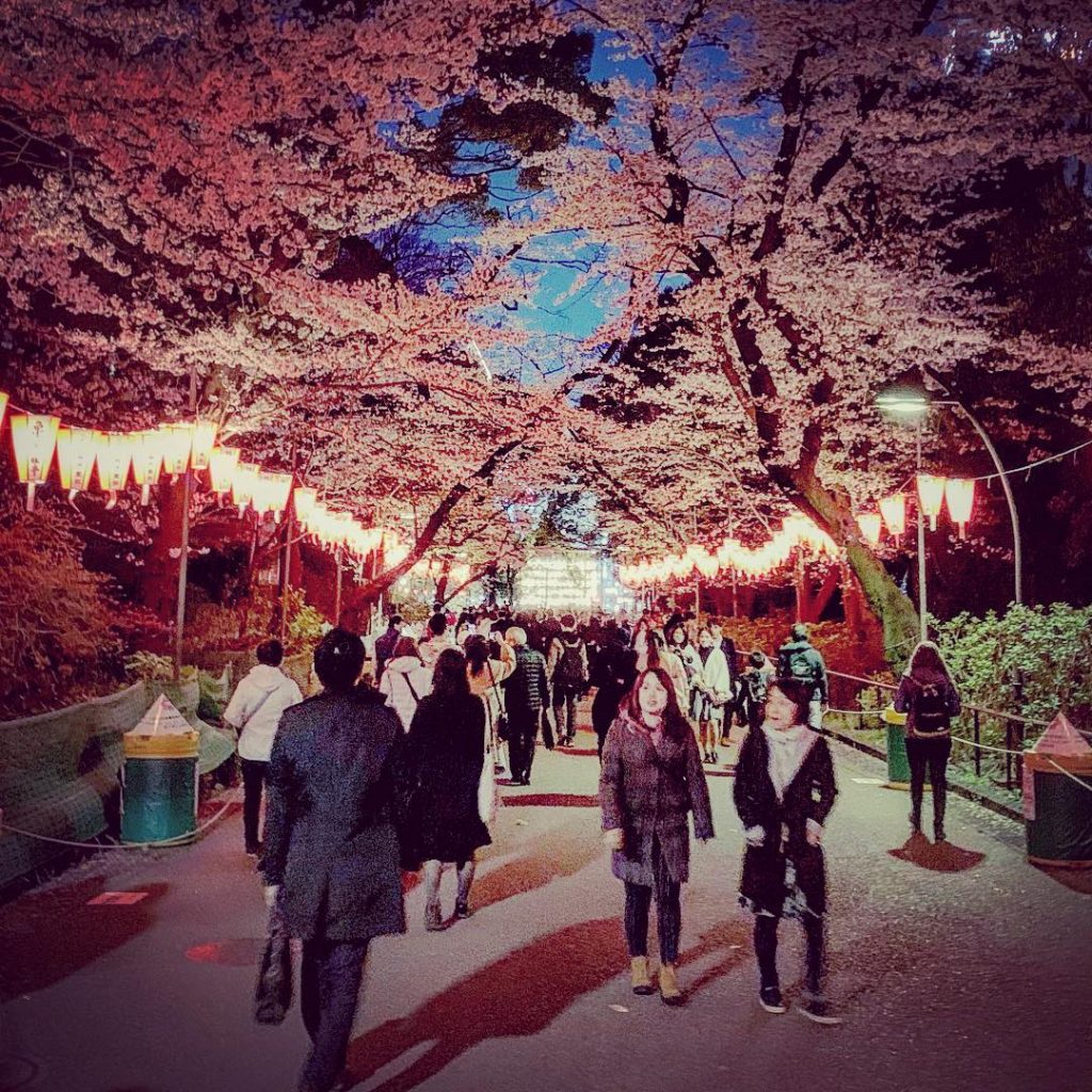 tempat wisata jepang : Ueno Park