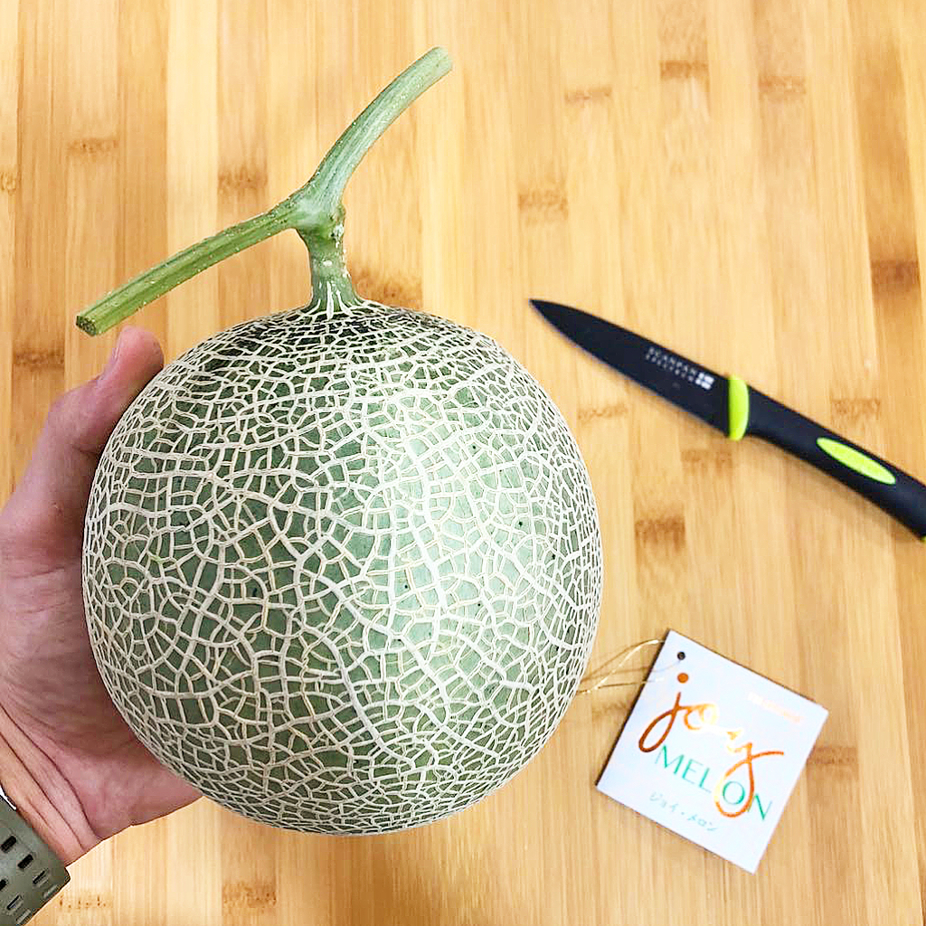 fakta jepang : melon jepang